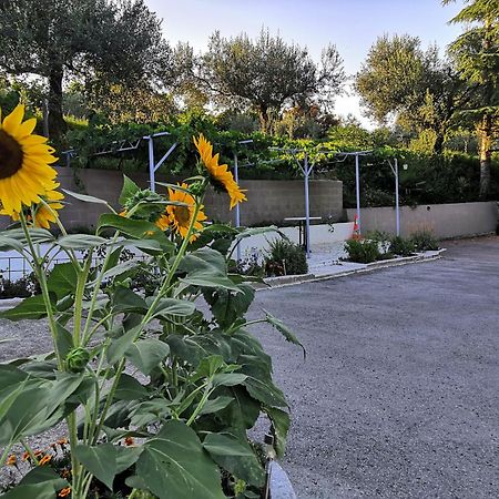 Apartamento Rosemarin Koper Exterior foto